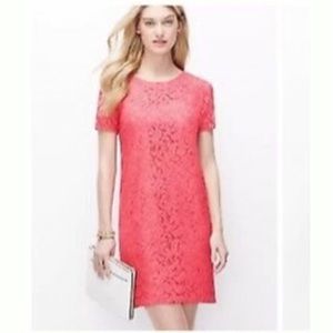 Ann Taylor Floral Lace Shift Dress